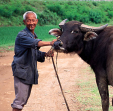 小型飼料顆粒機(jī),農(nóng)民圓夢！